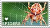 I love spiders